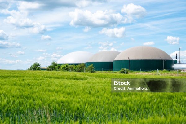 biogas production, biogas plant, bio power