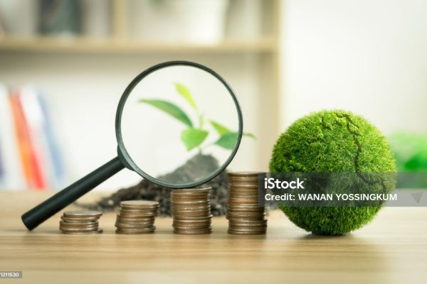 A magnifying glass that shines on a sapling with a coin and a globe.  In business concepts that focus on the environment and long-term sustainability goals, etc.